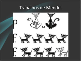Trabalhos de Mendel
 