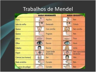 Trabalhos de Mendel
 