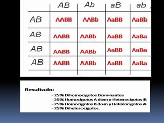 HERENCIA INTERMEDIAEs un tipo de herencia fuera de la leyes de MendelExisten características intermedias (mezclas de la expresión de dos o mas genes)