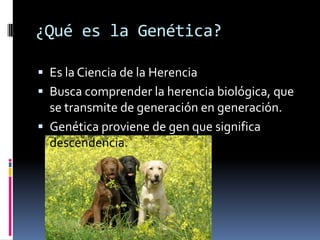 ¿Qué es la Genética?Es la Ciencia de la HerenciaBusca comprender la herencia biológica, que se transmite de generación en generación.Genética proviene de gen que significa descendencia.