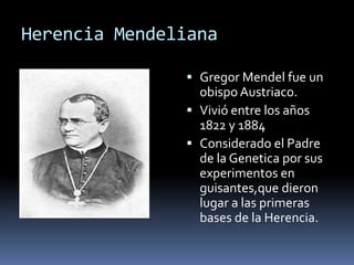 Herencia MendelianaGregorMendel fue un obispo Austriaco.Vivió entre los años 1822 y 1884Considerado el Padre de la Genetica por sus experimentos en guisantes,que dieron lugar a las primeras bases de la Herencia.