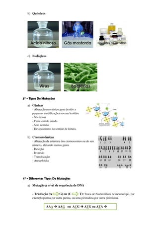 b) Químicos




     Ácido nitroso              Gás mostarda                Corantes de acridina



   c) Biológicos




           Vírus                      Bactérias

3° - Tipos De Mutações

   a) Gênicas
      - Alteração num único gene devido a
      pequenas modificações nos nucleotídeo
      - Silenciosa
      - Com sentido errado
      - Sem sentido
      - Deslocamento do sentido de leitura.

   b) Cromossômicas
      - Alteração da estrutura dos cromossomos ou do seu
      número, afetando muitos genes
      - Deleção
      - Inversão
      - Translocação
      - Aneuploidia




4° - Diferentes Tipos De Mutações

   a) Mutação a nível de sequência de DNA

      - Transição (A        G) ou (C          T): Troca de Nucleotídeos de mesmo tipo, por
      exemplo purina por outra purina, ou uma pirimidina por outra pirimidina.

                 AAA       AAG ou ACG            ATG ou ATA
 