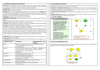 2.- CONCEPTOS FUNDAMENTALES EN GENÉTICA
GEN: Fragmento de ADN que codifica una proteína. Parte del cromosoma que contiene la
informaciónpara uncarácter. Unidad funcional de la herencia. Por ejemplo, enel cromosoma 8 de
los humanos se encuentra el gen que codifica el grupo sanguíneo.
CROMOSOMAS: Estructuras presentes enel núcleode las células eucariotas. Están formados por
ADN e histonas. Contienen los genes.
HAPLOIDE (n).- La célulau organismo sólo presenta ungenpara cada carácter se DIPLOIDE (2n).-
En el casode que existandos genespara cada carácter. Ejm: Las personas somos organismos
diploides. Poseemos 23 parejas de cromosomas, 46 en total. Por tanto, 2n=46. Sólo los gametos
presentan una dotación cromosómica haploide (n=23)
LOCUS/LOCI: Lugar que ocupa cada gen en un cromosoma.
CROMOSOMAS HOMÓLOGOS: Par de cromosomas con los mismos genes (pueden variar los
alelos).
ALELOS: Diferentes formas enque se puede presentar un gen. Suelen nombrarse con letras
mayúsculas (alelo dominante) o minúsculas (alelo recesivo).
GENOTIPO: Dotacióngénica de un organismo. Si tomamos comoejemplo ungen que presenta dos
alelos (A y a) los posibles genotipos serían: AA, Aa y aa.
FENOTIPO: Manifestación externa del genotipo. Es el resultado de la interaccióndel genotipo con
los factores ambientales. FENOTIPO = GENOTIPO + AMBENTE
Ejemplos: a)Las flores de la hortensia puedenser azules, si las plantas son cultivadas en tierra
ácida, yde color rosa si la tierra es alcalina. El pH delsueloincide, eneste caso, sobre el fenotipo.
b) Los conejos de la raza Himalaya. Si soncriados en su ambiente natural, frío, desarrollan un
pigmentonegroenla punta de la narizyen los extremos de las orejas yde laspatas. Si son criados
en una temperatura cálida pierden todo el pigmento y son totalmente blancos.
HOMOCIGOTO: Organismodiploide que presenta los mismos alelos para uno o varios genes en
ambos cromosomas homólogos.
HETEROCIGOTO:Organismo diploide que presenta distintos alelos para unoo varios genes en los
cromosomas homólogos.
CONCEPTO ACTUAL DEFINICION CORRESPONDENCIA CON
MENDEL
GEN Fragmentode ADN que controla un
carácter hereditario. Se localiza en
los cromosomas.
FACTOR HEREDITARIO
ALELOS Formas diferentes de expresiónque
puede presentar un gen. Ocupan
lugares idénticos en cromosomas
homólogos
FACTOR DOMINANTE Y
FACTOR RECESIVO
GENOTIPO Constitución genética para un
carácter. Combinación de alelos.
FENOTIPO Manifestación externa del genotipo.
Resultado de los genes y de la
interacción con el medio.
HOMOCIGOTO Genotipo constituidopor dos alelos
idénticos (AA, aa)
RAZAS PURAS
HETEROCIGOTO Genotipo constituidopor dos alelos
distintos (Aa)
HIBRIDOS
3.- LOS EXPERMENTOS DE MENDEL
A) Gregor Mendel se dedicó a cultivar guisantes (Pisum sativum) y a observar cómo se transmitían
determinados caracteres de generación en generación.
B) Pasos para la obtención de razas puras para un determinado carácter. Para ello autofecundaba
individuos que presentaban el carácter elegido durante varias generaciones, hasta que sólo obtenía
descendientes que presentaban dicho carácter.
C) Cruzamiento de dos líneas puras distintaspara unmismocarácter (guisantes amarillos y guisantes
verdes).
D) Autofecundación de la F1. Obtenía una descendencia (F2) en la que el factor recesivo, color verde,
reaparecía. La proporción amarillo:verde era de 3:1.
4.- LAS LEYES DE MENDEL
1ª LEY O DE LA UNIFORMIDAD DE LA F1
2ª LEY O DE LA SEGREGACION DE LA F2
Todo carácter está controlado por dos factores independientes que se distribuyen separadamente
(segregan) durante la formación de los gametos.
 