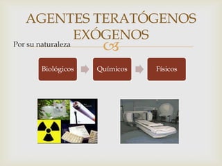 Por su naturaleza
AGENTES TERATÓGENOS
EXÓGENOS
Biológicos Químicos Físicos
 