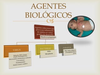 
AGENTES
BIOLÓGICOS
 