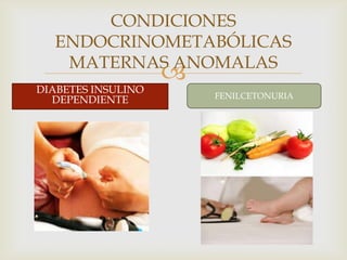 
DIABETES INSULINO
DEPENDIENTE
CONDICIONES
ENDOCRINOMETABÓLICAS
MATERNAS ANOMALAS
FENILCETONURIA
 