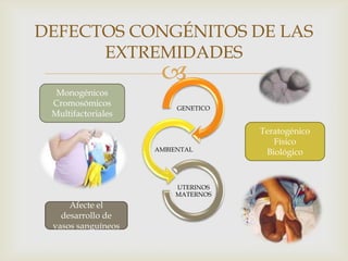 
GENETICO
AMBIENTAL
UTERINOS
MATERNOS
DEFECTOS CONGÉNITOS DE LAS
EXTREMIDADES
Monogénicos
Cromosómicos
Multifactoriales
Teratogénico
Físico
Biológico
Afecte el
desarrollo de
vasos sanguíneos
 