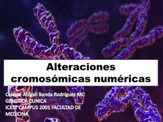 Alteraciones
cromosómicas numéricas
 