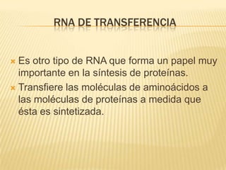 RNA de transferenciaEs otro tipo de RNA que forma un papel muy importante en la síntesis de proteínas.Transfiere las moléculas de aminoácidos a las moléculas de proteínas a medida que ésta es sintetizada.