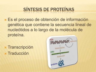 Síntesis de proteínasEs el proceso de obtención de información genética que contiene la secuencia lineal de nucleótidos a lo largo de la molécula de proteína.TranscripciónTraducción