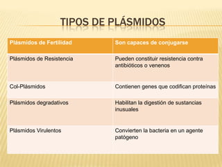Tipos de plásmidos