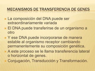 Mecanismos de transferencia de genesLa composición del DNA puede ser extraordinariamente variadaEl DNA puede transferirse de un organismo a otroY ese DNA puede incorporarse de manera estable al organismo receptor cambiando permanentemente su composición genética.A este proceso se le llama transferencia lateral o horizontal de genes.Conjugación, Transducción y Transformación.