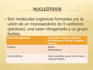 Nucleótidos Son moléculas orgánicas formadas por la unión de un monosacárido de 5 carbonos (pentosa), una base nitrogenada y un grupo fosfato.