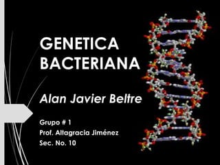 GENETICA
BACTERIANA
Alan Javier Beltre
Grupo # 1
Prof. Altagracia Jiménez
Sec. No. 10

 