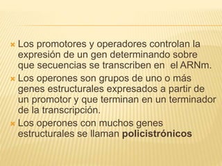 Los promotores y operadores controlan la
expresión de un gen determinando sobre
que secuencias se transcriben en el ARNm.
 Los operones son grupos de uno o más
genes estructurales expresados a partir de
un promotor y que terminan en un terminador
de la transcripción.
 Los operones con muchos genes
estructurales se llaman policistrónicos
 