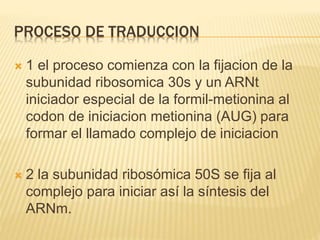 PROCESO DE TRADUCCION
 1 el proceso comienza con la fijacion de la
subunidad ribosomica 30s y un ARNt
iniciador especial de la formil-metionina al
codon de iniciacion metionina (AUG) para
formar el llamado complejo de iniciacion
 2 la subunidad ribosómica 50S se fija al
complejo para iniciar así la síntesis del
ARNm.
 