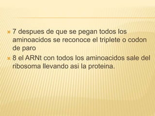  7 despues de que se pegan todos los
aminoacidos se reconoce el triplete o codon
de paro
 8 el ARNt con todos los aminoacidos sale del
ribosoma llevando asi la proteina.
 
