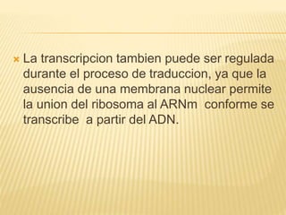  La transcripcion tambien puede ser regulada
durante el proceso de traduccion, ya que la
ausencia de una membrana nuclear permite
la union del ribosoma al ARNm conforme se
transcribe a partir del ADN.
 