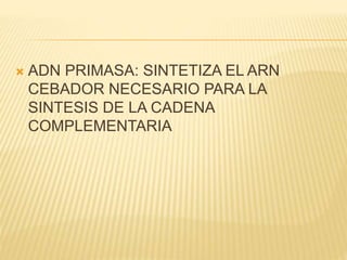  ADN PRIMASA: SINTETIZA EL ARN
CEBADOR NECESARIO PARA LA
SINTESIS DE LA CADENA
COMPLEMENTARIA
 