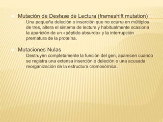 ● Mutación de Desfase de Lectura (frameshift mutation)
o Una pequeña deleción o inserción que no ocurra en múltiplos
de tres, altera el sistema de lectura y habitualmente ocasiona
la aparición de un «péptido absurdo» y la interrupción
prematura de la proteína.
● Mutaciones Nulas
o Destruyen completamente la función del gen, aparecen cuando
se registra una extensa inserción o deleción o una acusada
reorganización de la estructura cromosómica.
 