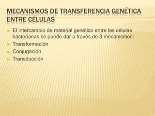 MECANISMOS DE TRANSFERENCIA GENÉTICA
ENTRE CÉLULAS
 El intercambio de material genético entre las células
bacterianas se puede dar a través de 3 mecanismos:
 Transformación
 Conjugación
 Transducción
 