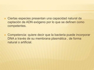  Ciertas especies presentan una capacidad natural de
captación de ADN exógeno por lo que se definen como
competentes.
 Competencia: quiere decir que la bacteria puede incorporar
DNA a través de su membrana plasmática , de forma
natural o artificial.
 