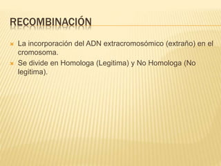 RECOMBINACIÓN
 La incorporación del ADN extracromosómico (extraño) en el
cromosoma.
 Se divide en Homologa (Legitima) y No Homologa (No
legitima).
 