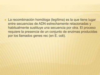  La recombinación homóloga (legítima) es la que tiene lugar
entre secuencias de ADN estrechamente relacionadas y
habitualmente sustituye una secuencia por otra. El proceso
requiere la presencia de un conjunto de enzimas producidas
por los llamados genes rec (en E. coli).
 
