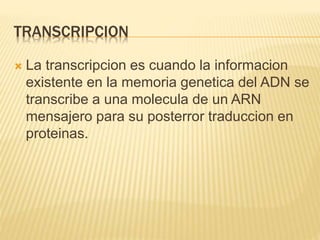 TRANSCRIPCION
 La transcripcion es cuando la informacion
existente en la memoria genetica del ADN se
transcribe a una molecula de un ARN
mensajero para su posterror traduccion en
proteinas.
 
