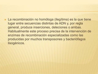  La recombinación no homóloga (ilegítima) es la que tiene
lugar entre secuencias distintas de ADN y, por regla
general, produce inserciones, deleciones o ambas.
Habitualmente este proceso precisa de la intervención de
enzimas de recombinación especializadas como las
producidas por muchos transposones y bacteriófagos
lisogénicos.
 