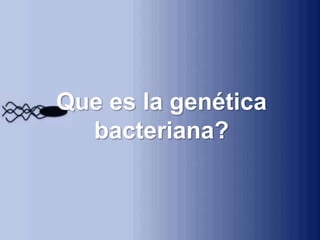 Que es la genética
bacteriana?
 