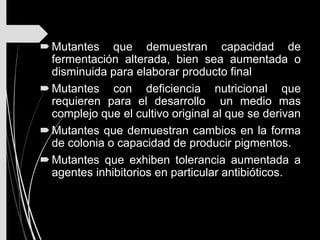 Mutantes que demuestran capacidad de
fermentación alterada, bien sea aumentada o
disminuida para elaborar producto final
Mutantes con deficiencia nutricional que
requieren para el desarrollo un medio mas
complejo que el cultivo original al que se derivan
Mutantes que demuestran cambios en la forma
de colonia o capacidad de producir pigmentos.
Mutantes que exhiben tolerancia aumentada a
agentes inhibitorios en particular antibióticos.
 