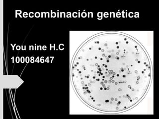 Recombinación genética
You nine H.C
100084647
 