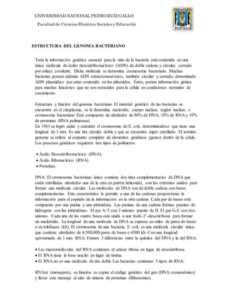 UNIVERSIDAD NACIONAL PEDRO RUIZ GALLO
Facultad de Ciencias Histórico Socialesy Educación
ESTRUCTURA DEL GENOMA BACTERIANO
Toda la información genética esencial para la vida de la bacteria está contenida en una
única molécula de ácido desoxirribonucleico (ADN) de doble cadena y circular, cerrado
por enlace covalente. Dicha molécula se denomina cromosoma bacteriano. Muchas
bacterias poseen además ADN extracromosómico, también circular y cerrado, denominado
ADN plasmídico por estar contenido en los plásmidos. Éstos, portan información génica
para muchas funciones que no son esenciales para la célula en condiciones normales de
crecimiento.
Estructura y función del genoma bacteriano El material genético de las bacterias se
encuentra en el citoplasma, se le denomina nucleoide, cuerpo nuclear, región nuclear, o
cromosoma bacteriano Está compuesto de alrededor de 80% de DNA, 10% de RNA y 10%
de proteínas (RNA polimerasa).
En 1963 se logró aislar y extender el cromosoma de E. coli, determinándose que tiene una
longitud de 1 mm. Es una tira circular doble y que se encuentra súper enrollado. El termino
genoma se refiere al conjunto completo de elementos genéticos (genes) dentro de la célula.
Los procesos genéticos requieren tres tipos de polímeros:
 Ácido Desoxirribonucleico (DNA).
 Ácido Ribonucleico (RNA)
 Proteínas.
DNA: El cromosoma bacteriano único contiene dos tiras complementarias de DNA que
están enrolladas alrededor una de la otra en patrón helicoidal, con los extremos unidos para
formar una molécula circular. Las moléculas de DNA son de doble cadena con bases
complementarias. Esta característica le permite a una de las cadenas proporcionar la
información para el copiado de la información en la otra cadena. Cada par de bases está
compuesto por una purina y una pirimidina. Las purinas de una cadena forman puentes de
hidrogeno con las pirimidinas. El par A-T con 2 uniones puente de H. El par G-C con tres
uniones. Cada una de las cuatro bases está unida a una fosfo-2’-desoxiribosa para formar
un nucleótido. La longitud de una molécula de DNA se expresa en miles de pares de bases
o en kilobases (kb). El cromosoma de una bacteria, E. coli, es una molécula circular única
que contiene alrededor de 4,500,000 pares de bases o 4500 kb. Con una longitud
aproximada de 1 mm. RNA: Existen 3 diferencias entre la química del DNA y la del RNA:
 Las macromoléculas del RNA contienen el azúcar ribosa en lugar de desoxirribosa.
 El RNA tiene la base uracilo en lugar de timina.
 El RNA no es una molécula de tira doble Las bacterias contienen 3 tipos de RNA:
RNAm: (mensajero), su función es copiar el código genético del gen (DNA cromosómico)
y llevar este mensaje al sitio de síntesis de proteínas (Ribosomas).
 