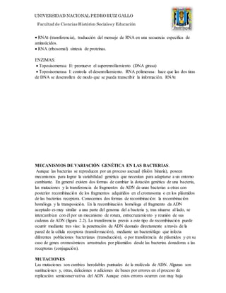UNIVERSIDAD NACIONAL PEDRO RUIZ GALLO
Facultad de Ciencias Histórico Socialesy Educación
 RNAt (transferencia), traducción del mensaje de RNA en una secuencia especifica de
aminoácidos.
 RNA (ribosomal) síntesis de proteínas.
ENZIMAS:
 Toposisomerasa II: promueve el superenrollamiento (DNA girasa)
 Toposisomerasa I: controla el desenrollamiento. RNA polimerasa: hace que las dos tiras
de DNA se desenrollen de modo que se pueda transcribir la información. RNAt
MECANISMOS DE VARIACIÓN GENÉTICA EN LAS BACTERIAS.
Aunque las bacterias se reproducen por un proceso asexual (fisión binaria), poseen
mecanismos para lograr la variabilidad genética que necesitan para adaptarse a un entorno
cambiante. En general existen dos formas de cambiar la dotación genética de una bacteria,
las mutaciones y la transferencia de fragmentos de ADN de unas bacterias a otras con
posterior recombinación de los fragmentos adquiridos en el cromosoma o en los plásmidos
de las bacterias receptora. Conocemos dos formas de recombinación: la recombinación
homóloga y la transposición. En la recombinación homóloga el fragmento da ADN
aceptado es muy similar a una parte del genoma del a bacteria y, tras situarse al lado, se
intercambian con él por un mecanismo de rotura, entrecruzamiento y reunión de sus
cadenas de ADN (figura 2.2). La transferencia previa a este tipo de recombinación puede
ocurrir mediante tres vías: la penetración de ADN desnudo directamente a través de la
pared de la célula receptora (transformación), mediante un bacteriófago que infecta
diferentes poblaciones bacterianas (transducción), o por transferencia de plásmidos y en su
caso de genes cromosómicos arrastrados por plásmidos desde las bacterias donadoras a las
receptoras (conjugación).
MUTACIONES
Las mutaciones son cambios heredables puntuales de la molécula de ADN. Algunas son
sustituciones y, otras, deleciones o adiciones de bases por errores en el proceso de
replicación semiconservativa del ADN. Aunque estos errores ocurren con muy baja
 
