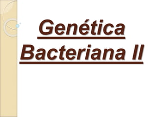 Genética
Bacteriana II
 