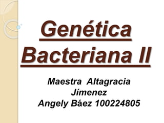 Genética
Bacteriana II
Maestra Altagracia
Jímenez
Angely Báez 100224805
 