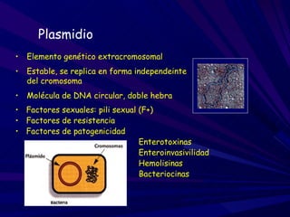 Plasmidio
•   Elemento genético extracromosomal
•   Estable, se replica en forma independeinte
    del cromosoma
•   Molécula de DNA circular, doble hebra
• Factores sexuales: pili sexual (F+)
• Factores de resistencia
• Factores de patogenicidad
                                 Enterotoxinas
                                 Enteroinvasivilidad
                                 Hemolisinas
                                 Bacteriocinas
 