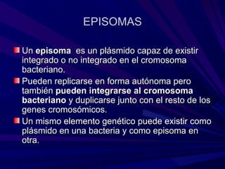 EPISOMAS

Un episoma es un plásmido capaz de existir
integrado o no integrado en el cromosoma
bacteriano.
Pueden replicarse en forma autónoma pero
también pueden integrarse al cromosoma
bacteriano y duplicarse junto con el resto de los
genes cromosómicos.
Un mismo elemento genético puede existir como
plásmido en una bacteria y como episoma en
otra.
 