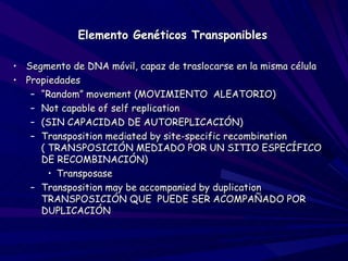 Elemento Genéticos Transponibles

• Segmento de DNA móvil, capaz de traslocarse en la misma célula
• Propiedades
   – “Random” movement (MOVIMIENTO ALEATORIO)
   – Not capable of self replication
   – (SIN CAPACIDAD DE AUTOREPLICACIÓN)
   – Transposition mediated by site-specific recombination
     ( TRANSPOSICIÓN MEDIADO POR UN SITIO ESPECÍFICO
     DE RECOMBINACIÓN)
       • Transposase
   – Transposition may be accompanied by duplication
     TRANSPOSICIÓN QUE PUEDE SER ACOMPAÑADO POR
     DUPLICACIÓN
 