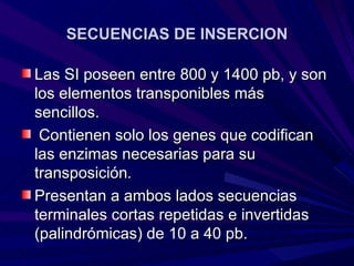 SECUENCIAS DE INSERCION

Las SI poseen entre 800 y 1400 pb, y son
los elementos transponibles más
sencillos.
 Contienen solo los genes que codifican
las enzimas necesarias para su
transposición.
Presentan a ambos lados secuencias
terminales cortas repetidas e invertidas
(palindrómicas) de 10 a 40 pb.
 