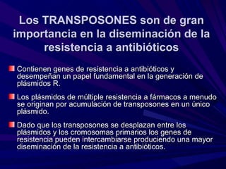 Los TRANSPOSONES son de gran
importancia en la diseminación de la
     resistencia a antibióticos
Contienen genes de resistencia a antibióticos y
desempeñan un papel fundamental en la generación de
plásmidos R.
Los plásmidos de múltiple resistencia a fármacos a menudo
se originan por acumulación de transposones en un único
plásmido.
Dado que los transposones se desplazan entre los
plásmidos y los cromosomas primarios los genes de
resistencia pueden intercambiarse produciendo una mayor
diseminación de la resistencia a antibióticos.
 