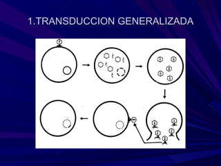 1.TRANSDUCCION GENERALIZADA
 