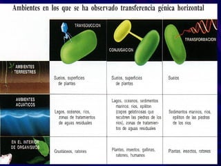 2.TRANSDUCCION RESTRINGIDA O
        ESPECIALIZADA
 