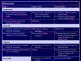 Mutaciones
Tipo                                        Agente causal                      Consecuencias

Sustitución
Transición: pirimidina sustituida por       Análogos de bases, radiación UV,   Si se forma un codón sin sentido,
    pirimidina o purina sustituida por          agentes desaminantes,               péptido trunco.
    purina.                                     alquilantes. Espontánea.       Si se forma un codón de sentido
                                                                                    erróneo, proteína alterada.
Transversión: purina sustituida por         Espontánea.
    pirimidina o viceversa.

Deleción
Macrodeleción: supresión de un segmento     HNO2, radiación, agentes           Péptido trunco
   grande de nucleótidos                       alquilantes.
Microdeleción o deleción puntual.           HNO2, radiación, agentes           Corrimiento del marco de lectura,
    Supresión de 1 o dos nucleótidos           alquilantes.                        que casi siempre da lugar a un
                                                                                   codón sin sentido y a un
                                                                                   péptido trunco.

Adición
Macroadición: inserción de un segmento      Transposones o secuencias de       Gen interrumpido que da lugar a un
   grande de nucleótidos                        inserción                          producto trunco.
Microadición o adición puntual: Inserción   Acridina                           Corrimiento del marco de lectura,
    de 1 o 2 nucleótidos.                                                          que casi siempre da lugar a un
                                                                                   codón sin sentido y a un
                                                                                   péptido trunco.

Inversión                                   Transposones o secuencias de       Diversos efectos posibles
                                                inserción
 