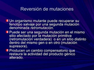 Reversión de mutaciones

Un organismo mutante puede recuperar su
fenotipo salvaje por una segunda mutación
denominada retromutación.
Puede ser una segunda mutación en el mismo
sitio afectado por la mutación primitiva
(retromutación verdadera) o en un sitio distinto
dentro del mismo gen o en otro (mutación
supresora).
Producen un cambio compensatorio que
restaura la actividad del producto génico
alterado.
 