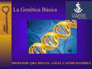 La Genética Básica PROFESOR: QBA MIGUEL ANGEL CASTRO RAMIREZ 