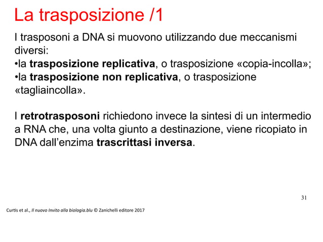 Differenza Tra Infezione Batterica E Virale Genetica batterica e virale.docx