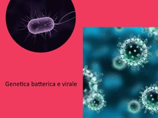 Genetica batterica e virale.docx