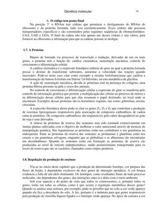 Genética molecular 10
6. O código tem ponto final
Na posição 3’ o RNAm traz códons que permitem o desligamento do RNAm do
ribossomo e da proteína formada, tudo isso enzimaticamente. Esses códons não possuem
transportadores específicos e são constituídos pelas seguintes seqüências de ribonucleotídeos:
UAA, UAG e UGA. O final da cadeia não tem apenas um desses códons e sim vários, para
fornecer ao ribossomo a informação para que as cadeias possam se desligar.
1.7. A Proteína
Depois de formada via processos de transcrição e tradução, derivadas de um ou mais
genes, a proteína tem a função de: catálise enzimática, sustentação mecânica, controle do
crescimento e diferenciação celular.
A catálise enzimática é a expressão fenotípica indireta do gene na qual a proteína formada
possui o destino de transformar substratos, aumentar a velocidade das reações quando
necessário. Pode-se neste caso citar como exemplo a enzima fosfofrutocinase que catalisa a
transformação da frutose 6-fosfato em frutose 1,6-bifosfato, na rota metabólica da glicólise.
A ação de sustentação mecânica, devida as proteínas está na presença do colágeno, uma
proteína fibrosa presente na pele e ossos dos animais.
No controle de crescimento e diferenciação celular a expressão do gene se manifesta pelo
controle da informação genética que permite a multiplicação das células no processo de mitose e
na diferenciação dessas células para que elas assumam o papel destinado, no local onde se
encontram. Exemplos dessas proteínas são os hormônios vegetais, tais como, giberelina, auxina,
citocinina.
A expressão fenotípica direta pode-se citar os genes Z1; Z2 e Z3 que controlam a produção
de isozimas lipoxigenases responsáveis pela associação de compostos carbonílicos de cadeia
curta às proteínas. Os compostos carbonílicos são responsáveis pelo sabor desagradável no grão
de soja e seus derivados.
A síntese de proteínas de reserva das sementes tem sido estudada extensivamente em
muitas plantas cultivadas com o objetivo de melhorar o valor nutricional através de técnicas de
manipulação genética. Nas leguminosas as proteínas estão nos cotilédones e nas gramíneas no
endosperma. Entre as proteínas de reserva das sementes as prolaminas e glutelinas estão nos
cereais e em gramíneas selvagens, enquanto que as globulinas e as albuminas são encontradas
em dicotiledôneas. Quando as sementes estão em formação as proteínas de reserva são
produzidas ao nível de retículo endoplasmático, sendo posteriormente transportadas para os
locais de reserva que são os vacúolos, chamados como corpos protéicos.
1.8. Regulação da produção de enzimas
Viu-se no início deste capítulo que a produção de determinado fenótipo, cor púrpura das
flores de feijão, é dependente exclusivo de dois genes de interação epistática. A cor branca
evidencia a falta de um alelo dominante. Os fenótipos, como resultantes finais de todo processo
molecular, são dependentes dos genes, das interações entre si e deles com o meio ambiente.
Sob esse aspecto e do ponto de vista que todos os cromossomos, e, portanto todos os
genes, estão em todas as células, como é que ocorre a regulação metabólica desses genes?
Quando se analisa uma cenoura, por exemplo, pode-se perceber que no colo a cor verde aparece
quando ela fica a descoberta do solo. A luz, portanto é a indutora para que genes responsáveis
pela produção de clorofila fiquem ligados e o fenótipo verde apareça. No ápice da cenoura a cor
 